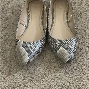 Snake print Express flats